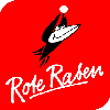 Rote Raben Vilsbiburg (Femmes)