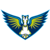 Даллас Вінгз (Жінки)
