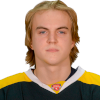 Roman Sgibov