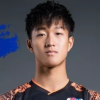 Zhizhao Li X.