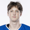 Karlis Tamenieks