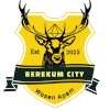 Berekum City