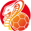 HSG Bad Wildungen Vipers (Femmes)