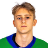Nikita Koltsov
