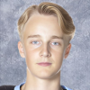 Theo Stockselius