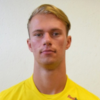 Niklas Jokelainen