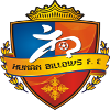 Хунань Біллоус