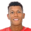 Javier Arturo Ortiz Fernandez