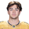 Brendan Brisson