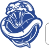Canberra Cobras