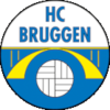 Bruggen 1
