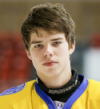 Artyom Tselogorodtsev
