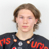 Sisu Yliniemi