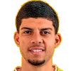 Pedro Henrique Santos Gomes