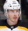 Petr Krejci