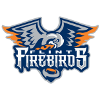 Flint Firebirds