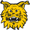 Ilves (Women)
