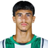 Can Armando Guner