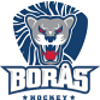 Boras