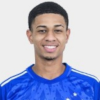 Luiz Fernando Souza Santos
