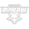 HDK Maribor