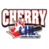 Team Cherry