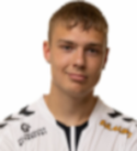 Halldor Snaer Georgsson