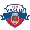Vaslui