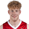 Nico Hollerl