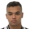 Vinicius Menezes Uchella