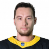 Sergei Barbashev