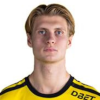 Viggo Holmen