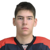 Stepan Tsaregorodtsev