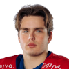 Peder Skarpjorde