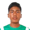 Andres Guillermo Toroya