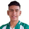William Arnol Fernandez Mamani