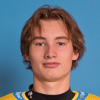 Vaclav Nedorost