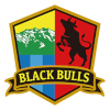 Takayama Blackbulls (Women)