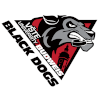 Black Dogs Budweis
