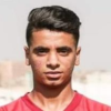 Walid Mostafa