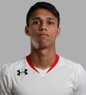 Luiz De Araujo Guimaraes Neto