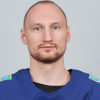 Аркадий Шестаков