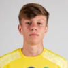 Artem Novopashyn