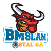 Stal Ostrow Wielkopoiski