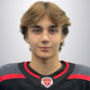 Лев Шумилин