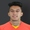 Ahmed El Armouty