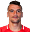 Bogdan Obradovic