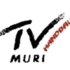 Muri