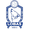 Oviedo BM (Women)