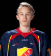 Johan Franzen
